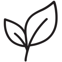 100% Organic &
Natural Ingredients